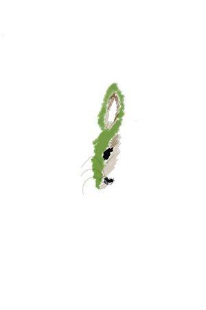 Pea, the Ra’bit*h