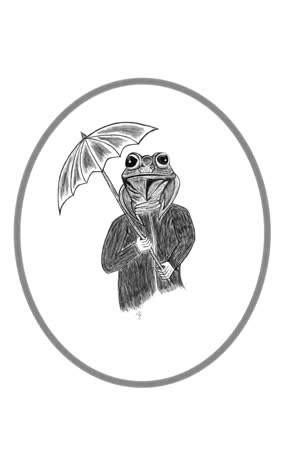 Frog 