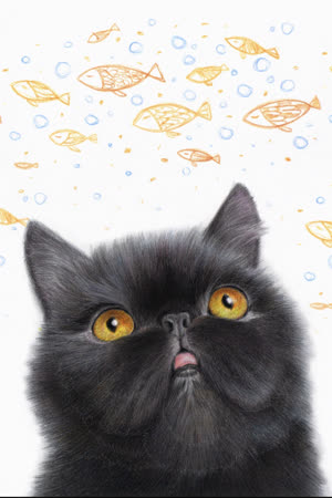 Leno the cute cat
