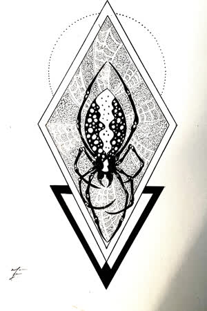 Spider 
