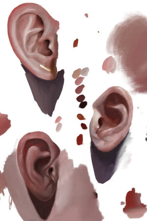Ears 