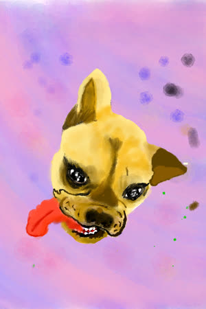 Doggo Oscar