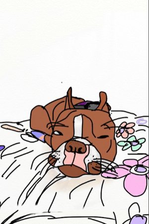 Pillow Odin