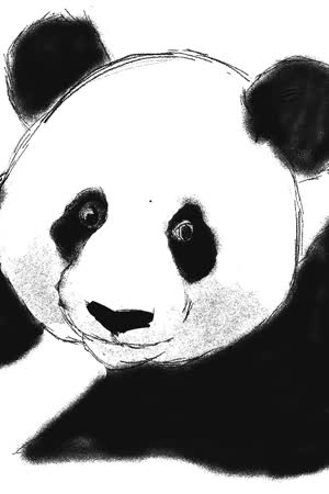 VN Drawing_Art