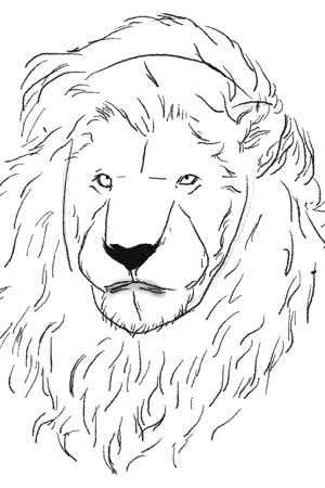 VN Drawing_Art