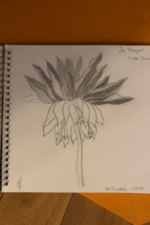 The flower