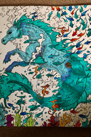 Hippocampus 