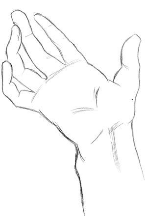 Hand Sketch 