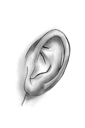 Ear Sketch 