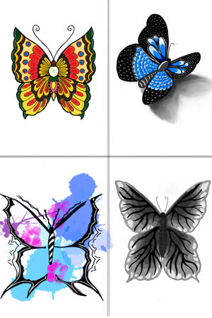 Butterfly 