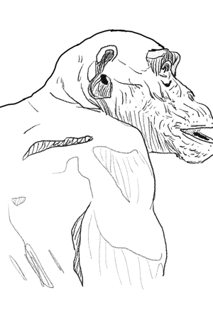 The Monkey