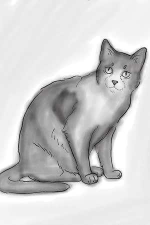 lilMeowMeow