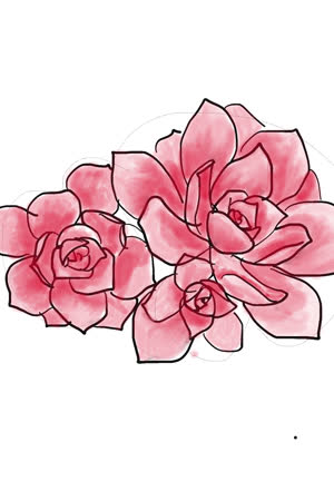 Barlyn 