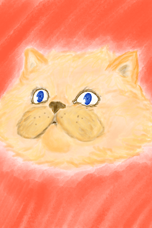 Jumpy kitty