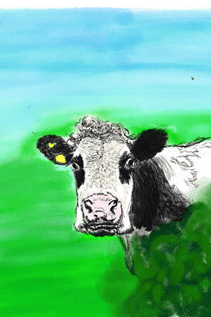 Wee cow