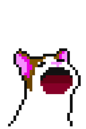 Popopop cat