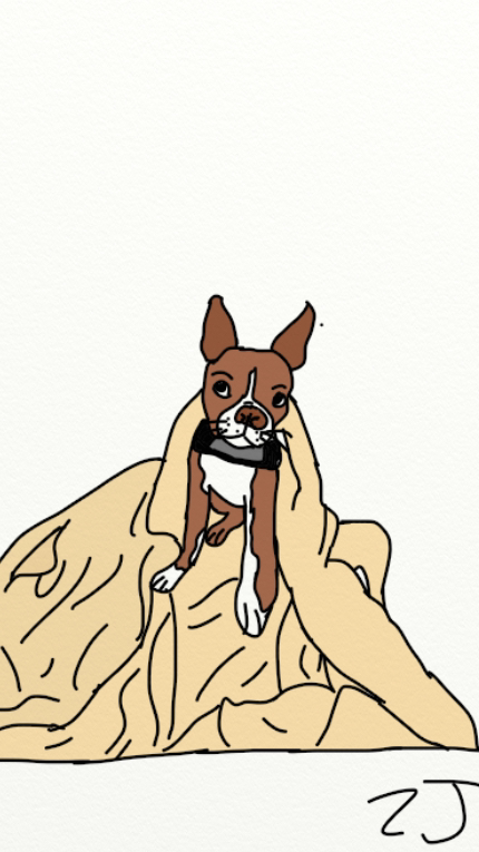 Blanket Odin