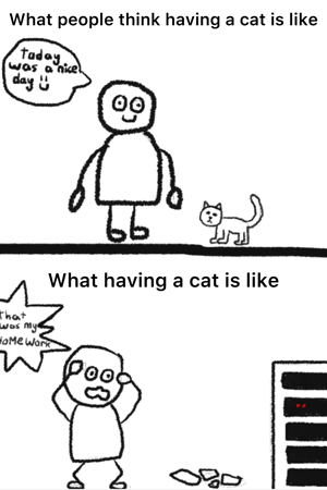 What having a cat is like