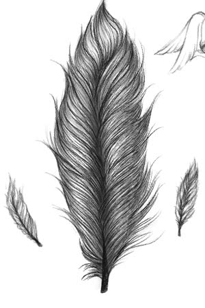 LOTSXFSOF