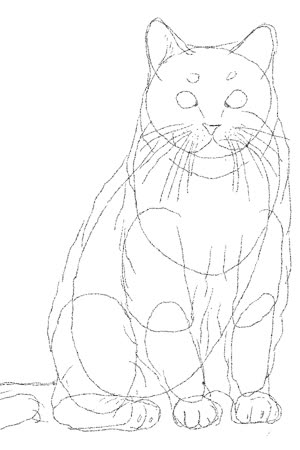 anna.catkitten