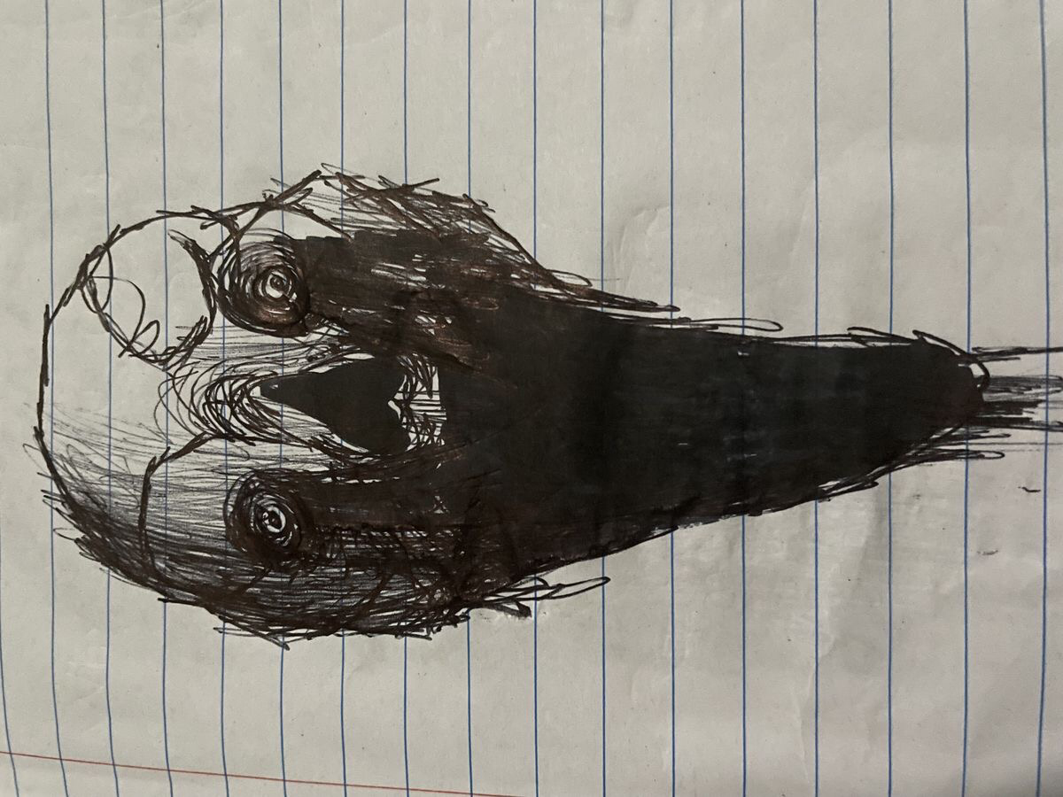 ☻>-<