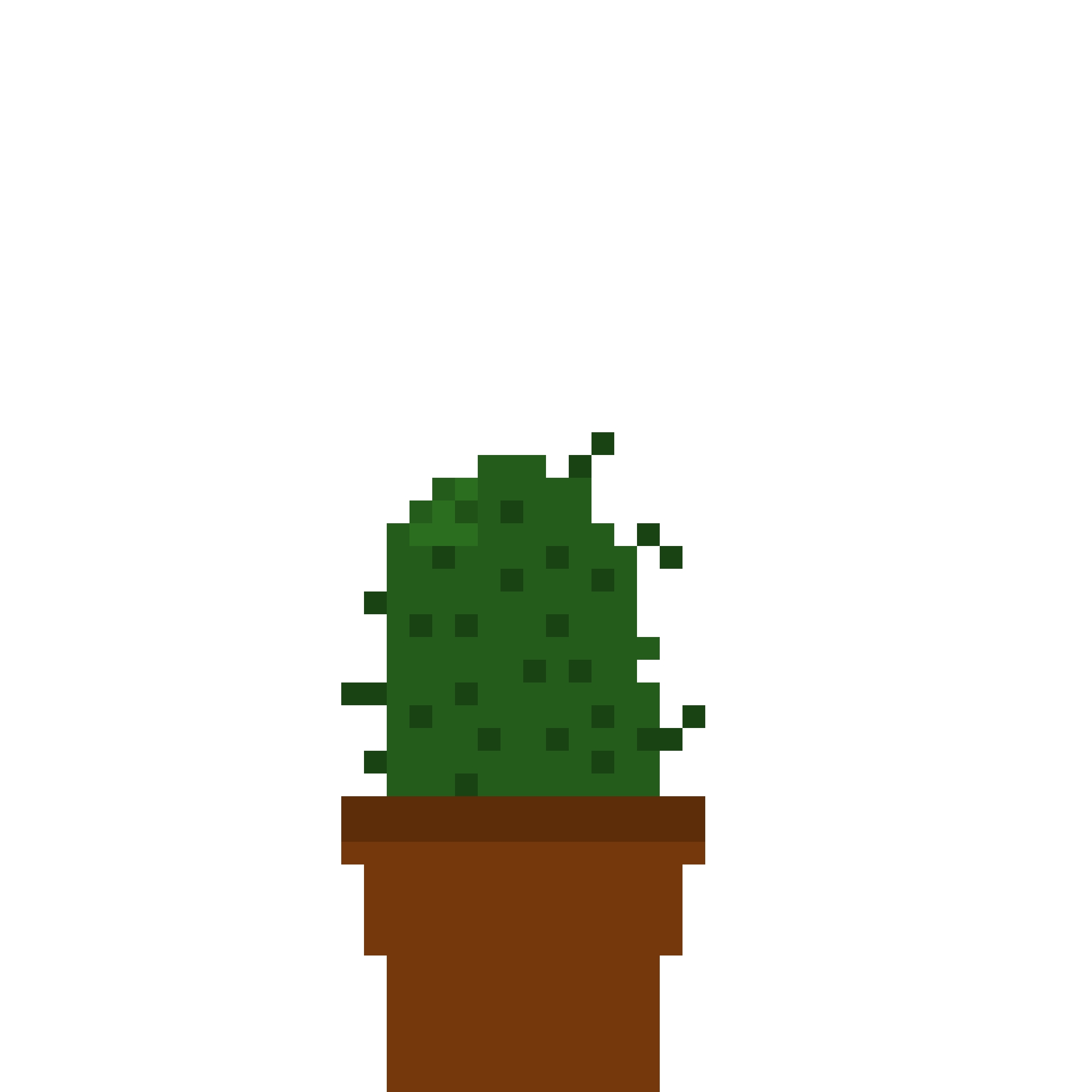 Loz