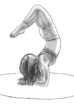 Sofía