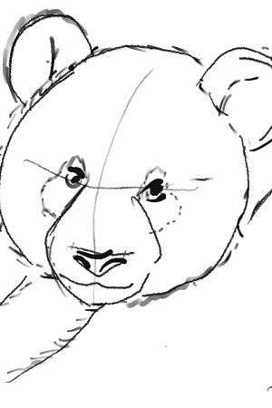 DobbyPanda123