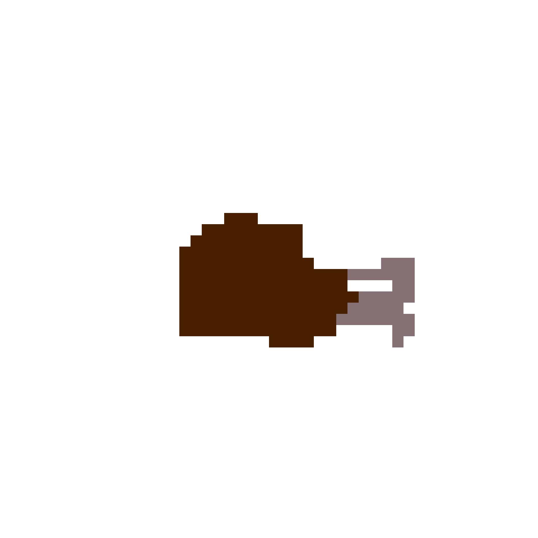 CrocsCarzy49
