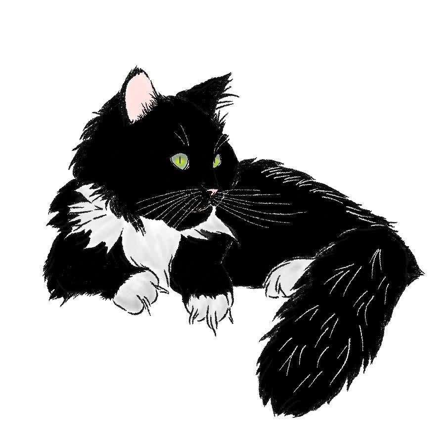 A fluffy black and white cat lying down, looking sideways with green eyes.