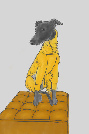 zoë
