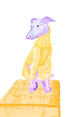 jasmineperigrina