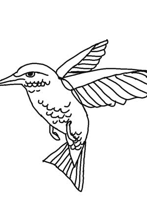 Lila Dibujo