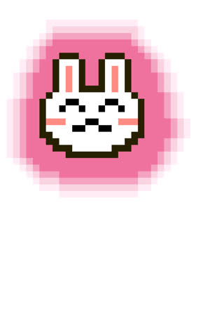Kiwi_kiara