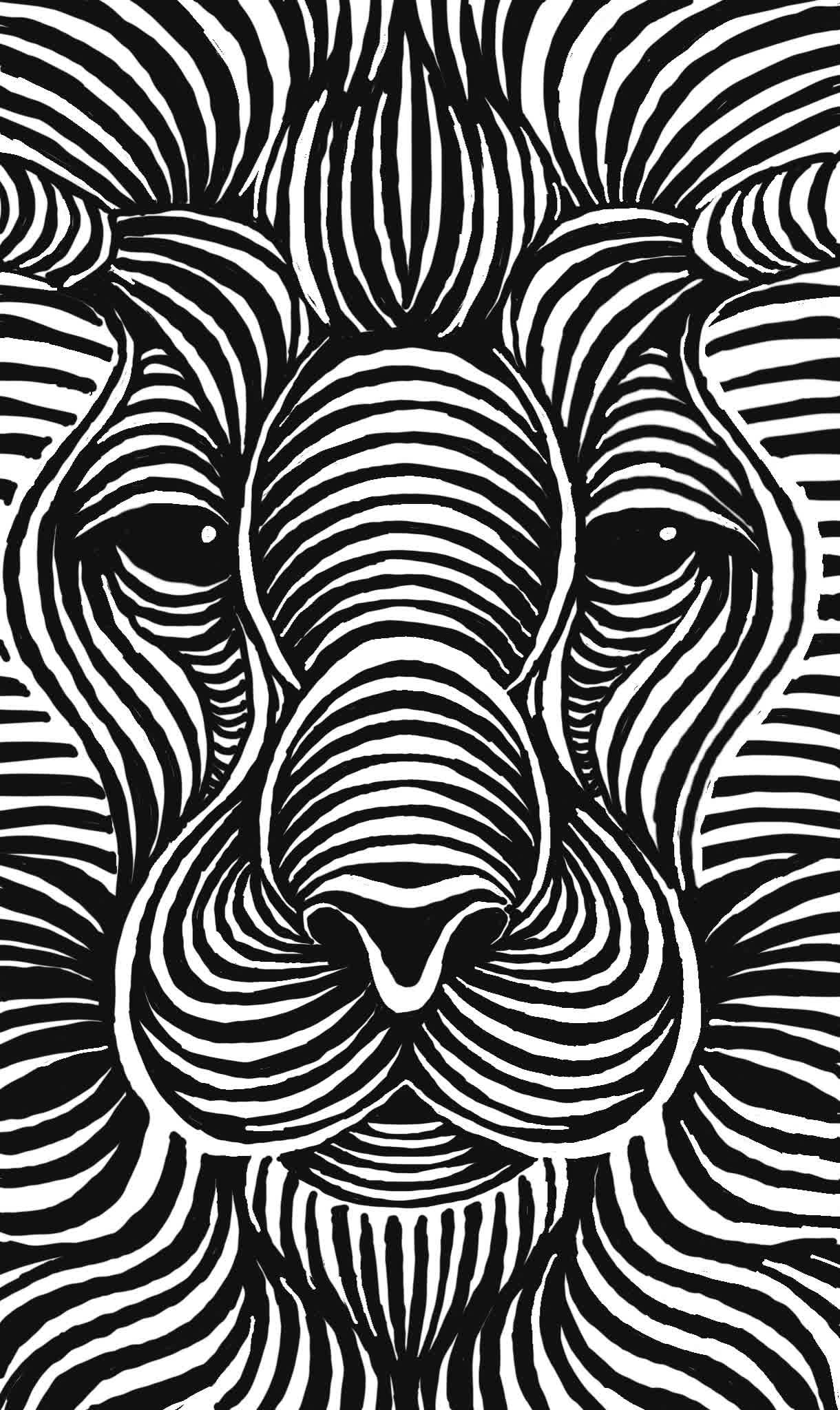 Black and white striped lion face with broad nose, eyes and flowing mane lines
