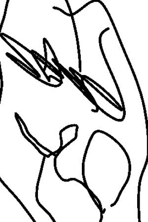DASHI_STAR