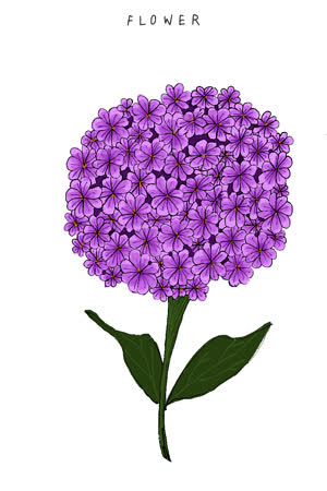valeagesc