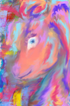 bucknichole4