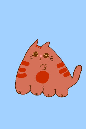 (=•~•=)