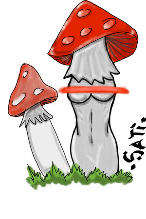 SatiXX