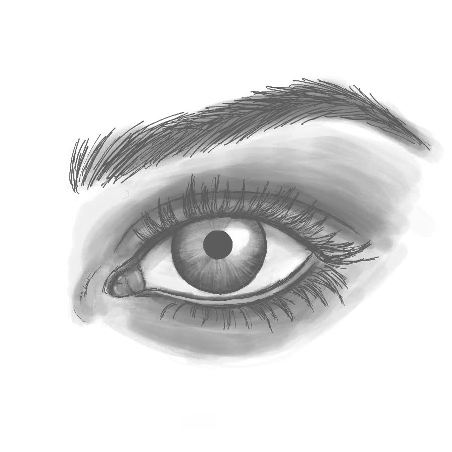 Realistic grayscale drawing of an open eye with a dark iris, a bright highlight, long lashes and a feathered eyebrow above.