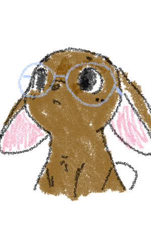CINNAMONROLL FAN