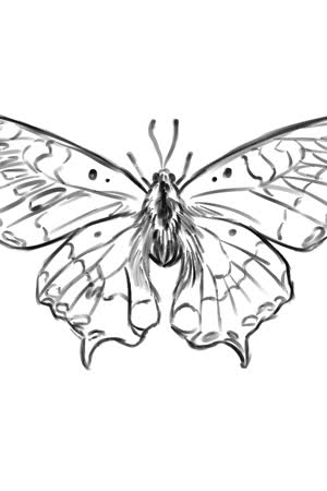 LOTSXFSOF