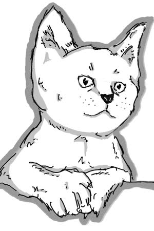 Môsieur Pif