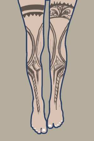 دریا Daria