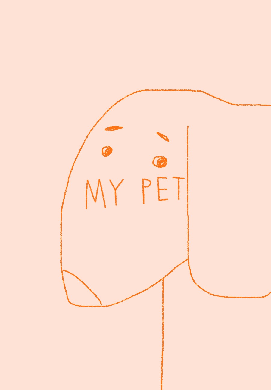 Word of the week – My Pet