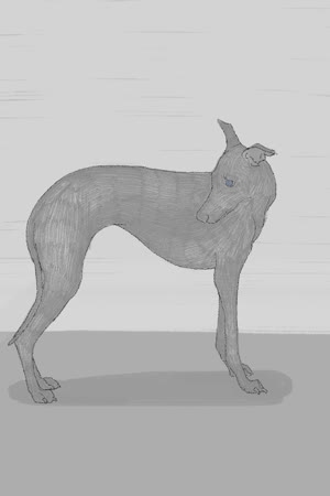Sketchar