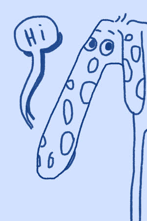Sketchar