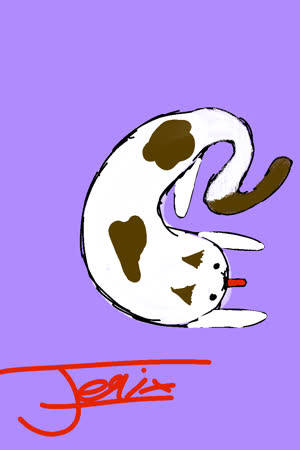 Felix14