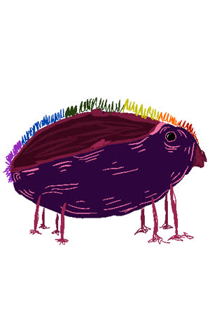jovanbarb